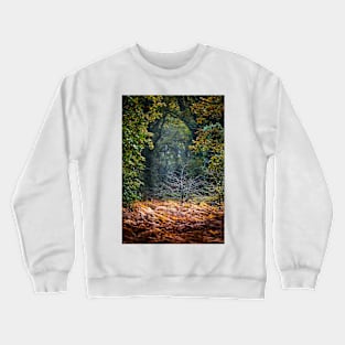 Light in the forest Crewneck Sweatshirt